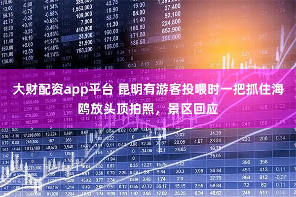 大财配资app平台 昆明有游客投喂时一把抓住海鸥放头顶拍照，景区回应