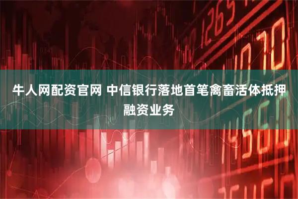 牛人网配资官网 中信银行落地首笔禽畜活体抵押融资业务